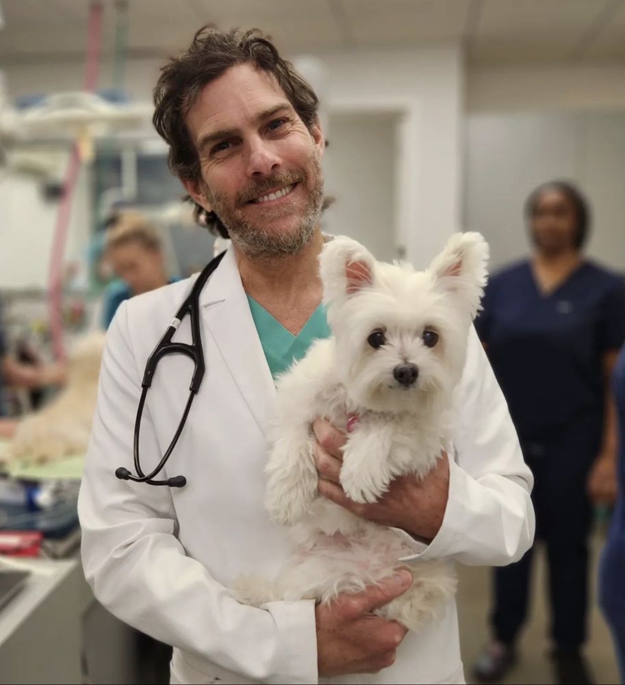 WORTH STREET VETERINARY CENTER Updated September 2024 82 Photos