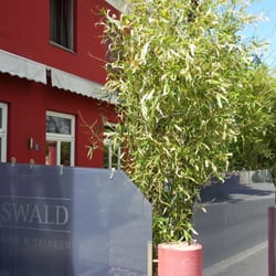 Pusswald Restaurant