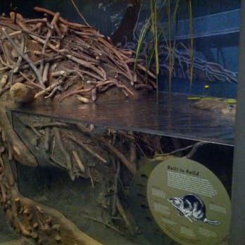 Robinson Nature Center - Parks Near Me - Columbia, Maryland