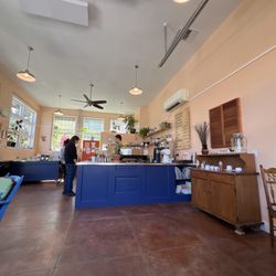 Catkin Coffee - Coffee bar ordering area