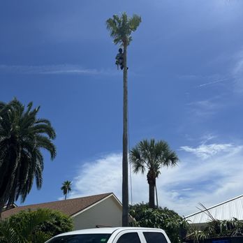 Oceanside Tree Service - Tree Services Near Me - Satellite Beach, Florida