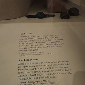 Royal Ontario Museum - Museums Near Me - Toronto, Ontario Royal Ontario Museum - Museums Near Me - Toronto, Ontario