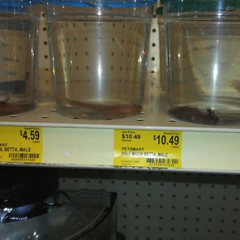 PetSmart - PetSmart Store in Siklerville, NJ. had several discomposed fish in shelves back and front of the store. - Pet Training Near Me - Sicklerville, New Jersey PetSmart - PetSmart Store in Siklerville, NJ. had several discomposed fish in shelves back and front of the store. - Pet Training Near Me - Sicklerville, New Jersey