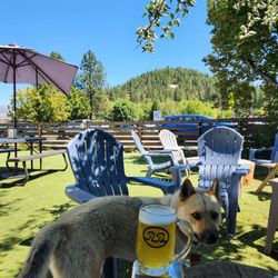 Richbar Taproom