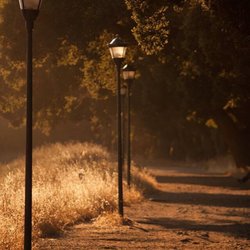 Stanford University Arboretum - Arboretum street lamps