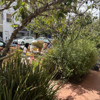 Just for Fun & Scribbledoodles - Great parklet/garden out front! - Art Supplies Near Me - San Francisco, California Just for Fun & Scribbledoodles - Great parklet/garden out front! - Art Supplies Near Me - San Francisco, California