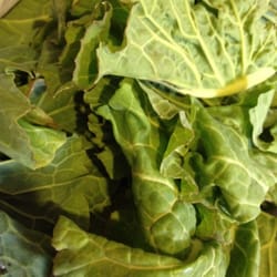 Jim Mills Farmers Market - Collard greens - best after the frost!