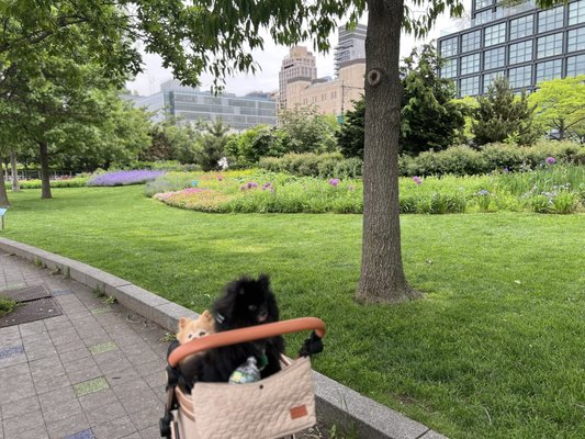 Pier 45 at Hudson River Park by null