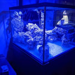 Fish Geeks - New 200 gallon 3x3 saltwater aquarium