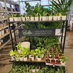 Home depot Home depot