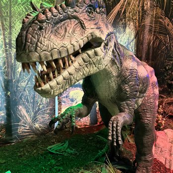 Dino Park - Children's Museums Near Me - Myrtle Beach, South Carolina Dino Park - Children's Museums Near Me - Myrtle Beach, South Carolina