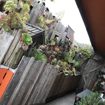 Taqueria Durango - a wooden fence with succulents on it - Mexican Near Me - Oakland, California Taqueria Durango - a wooden fence with succulents on it - Mexican Near Me - Oakland, California