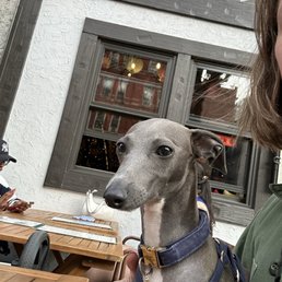 Dogba at outdoor seating Dogba at outdoor seating