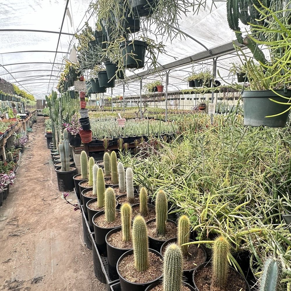 Greenhouse 1