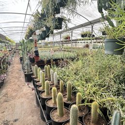 Greenhouse 1