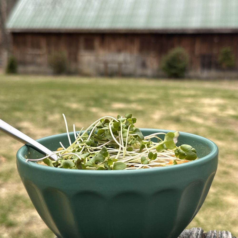 Wee Mite Microgreens Logo
