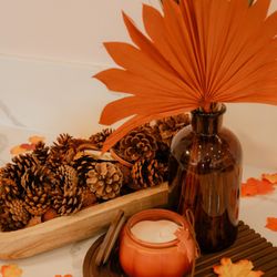 Posh Belle Nail Lounge  - Where everything FALLS into place