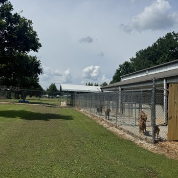 Bark Avenue Resort - The side of the building with a view of the indoor outdoor runs. And the large play yard in the back with a pool. - Pet Boarding Near Me - Tanner, Alabama