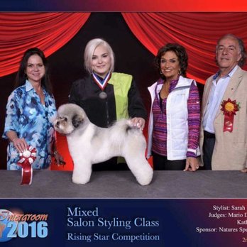 VIP Pet Elite - Our multiple award winning groomer - Pet Groomers Near Me - Alexandria, Virginia VIP Pet Elite - Our multiple award winning groomer - Pet Groomers Near Me - Alexandria, Virginia