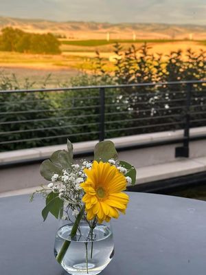 Valdemar Estates Winery by null