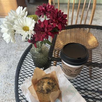 Vida Baking - Poppy seed lemon muffin and small Americano - Bakeries Near Me - Ashland, Oregon