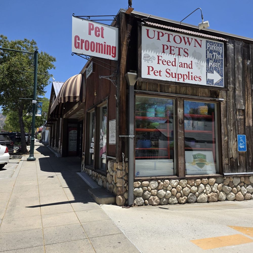 Uptown Pets - Pet Stores Near Me - Yucaipa, California Uptown Pets - Pet Stores Near Me - Yucaipa, California