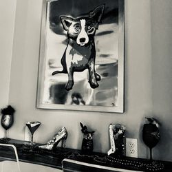 District Dental Spa - blue dog in the waiting room