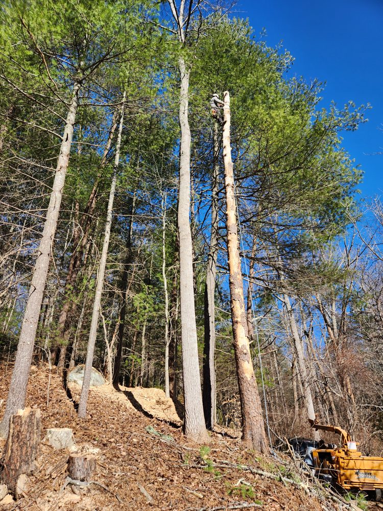 Slide of Neal Enterprises