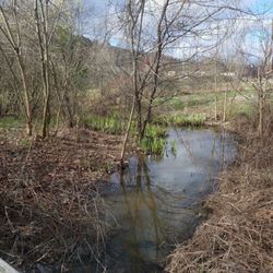 Carrier Park