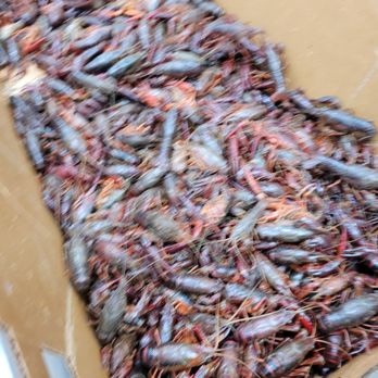 88 Ranch Market - Seafood Markets Near Me - Oceanside, California
