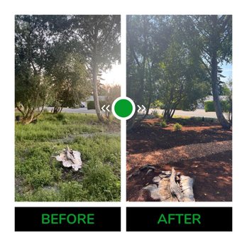 Barbosa Landscaping - before after (Spring cleanup and Mulching Installation - Landscaping Near Me - Shoreline, Washington Barbosa Landscaping - before after (Spring cleanup and Mulching Installation - Landscaping Near Me - Shoreline, Washington