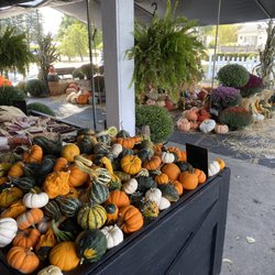 Brumbaugh Fruit Farm