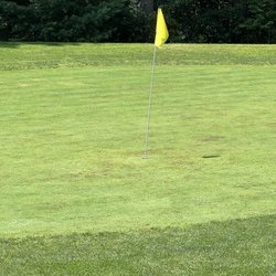 Swanson Meadows Golf Course - This is one of the greens. Lots of bumps and missing grass
