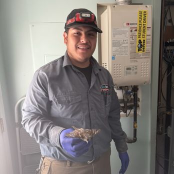 Any Temp Heating And Cooling - John C and the bird he found in my furnace - Heating & Air Conditioning/HVAC Near Me - Addison, Illinois