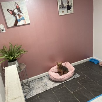 Paws N Claws Carriage - Pet Boarding Near Me Paws N Claws Carriage - Pet Boarding Near Me