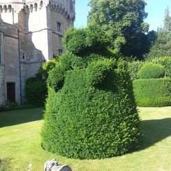 Elton Hall - Topiary