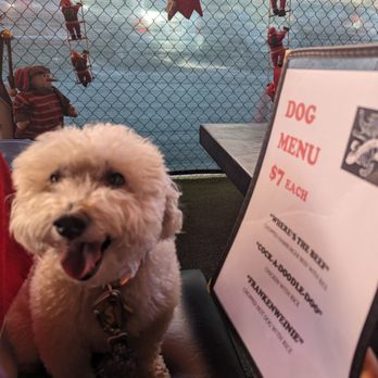 Morrison - Scooby ordering off of the dog menu! I think he found something he likes! - Gastropubs Near Me - Los Angeles, California