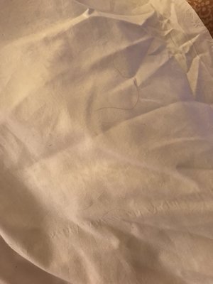 Bighorn Rentals by null