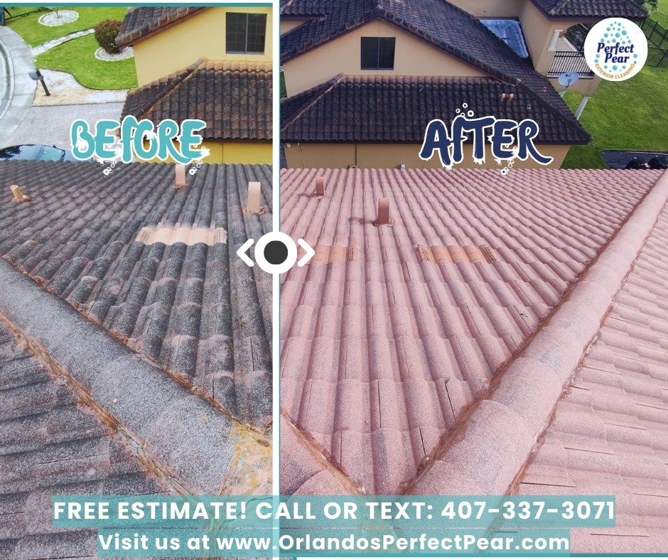 Slide of Perfect Pear