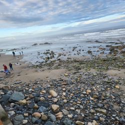 Wells Beach