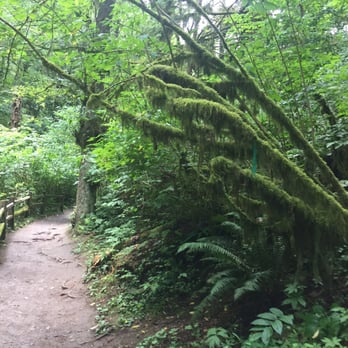 Forest Park - Parks Near Me - Portland, Oregon
