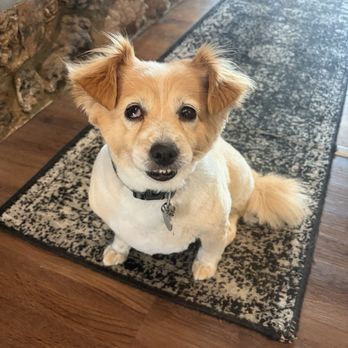 PetSmart - Mila - Pet Stores Near Me - Tukwila, Washington PetSmart - Mila - Pet Stores Near Me - Tukwila, Washington