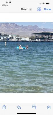 Cottonwood Cove Resort & Marina by null
