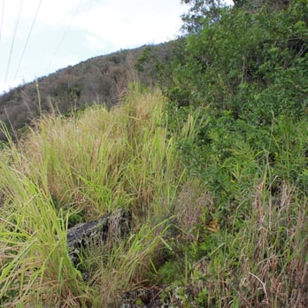 Bowman Trail - Hiking Near Me - Honolulu, Hawaii