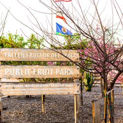 Del Aire Public Fruit Park