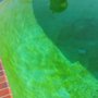 Photo of Premium Pool Service