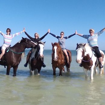 CPonies - Horseback Riding Near Me - Bradenton, Florida CPonies - Horseback Riding Near Me - Bradenton, Florida