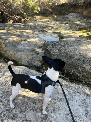 Mary Moore Searight Metropolitan Park by null