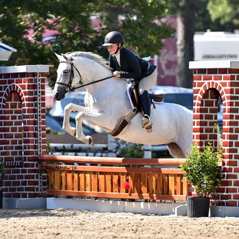 Peirce Equestrian - Horseback Riding Near Me - Tyler, Texas Peirce Equestrian - Horseback Riding Near Me - Tyler, Texas