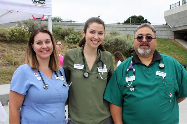 alley cat small animal hospital